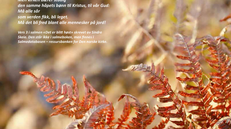 Indre Fosen menighetsblad nr. 3 - 2025