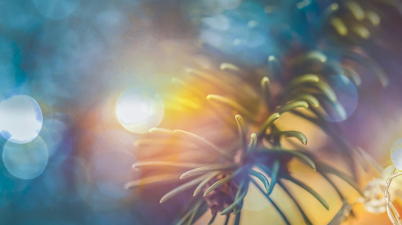 Jul og romjul i kirkene våre