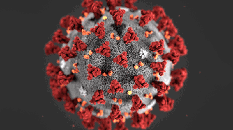 Koronaviruset - smittevernleder for kirkelige handlinger