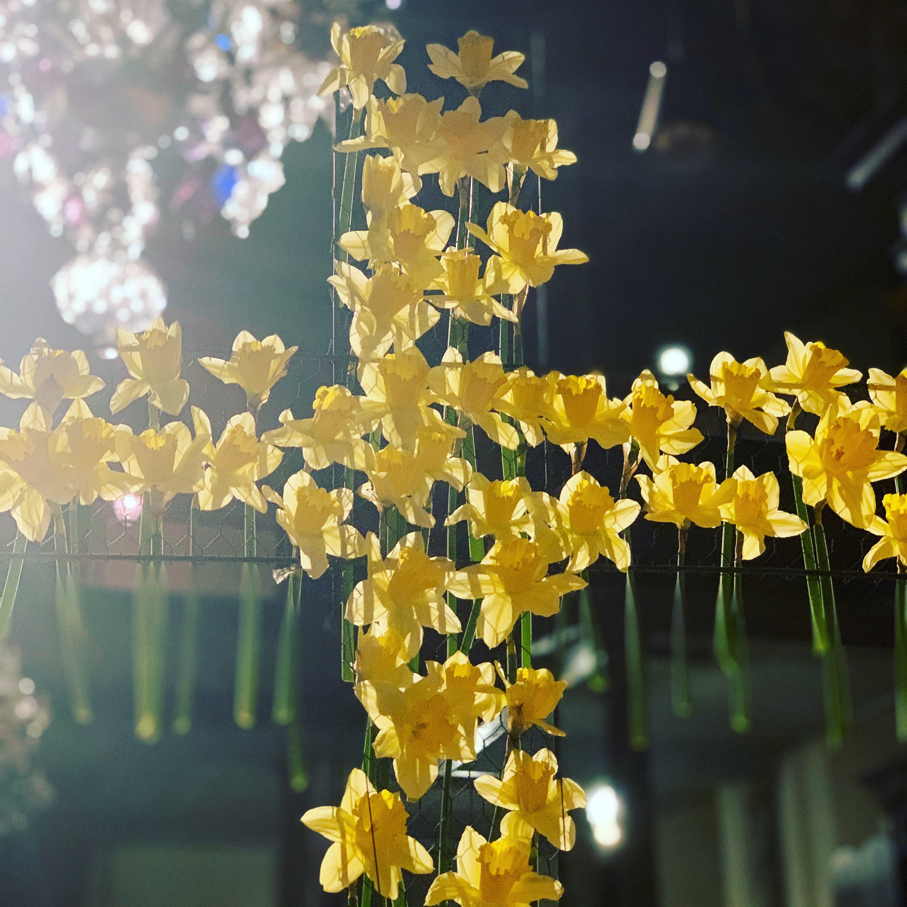 Påsketradisjoner i Kongsberg kirke