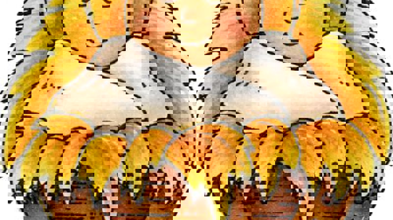 Julekrybbevandring 3 åringer