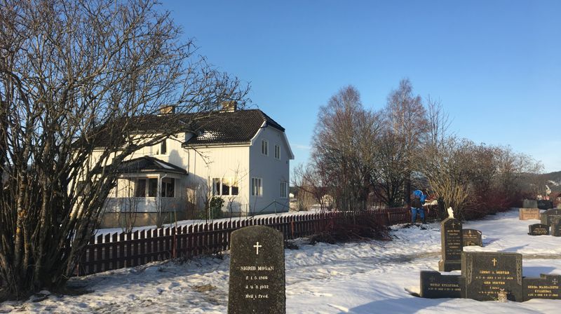 Lite snø gir oss mulighet til å klippe og beskjære hekker