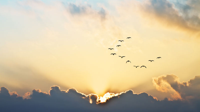 Friluftsgudstjeneste på Labro Kristi Himmelfartsdag