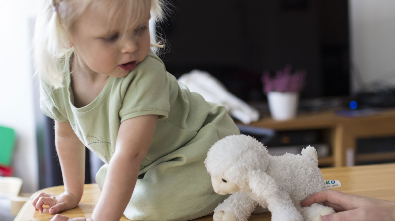 Krøllesamling for 2 åringer