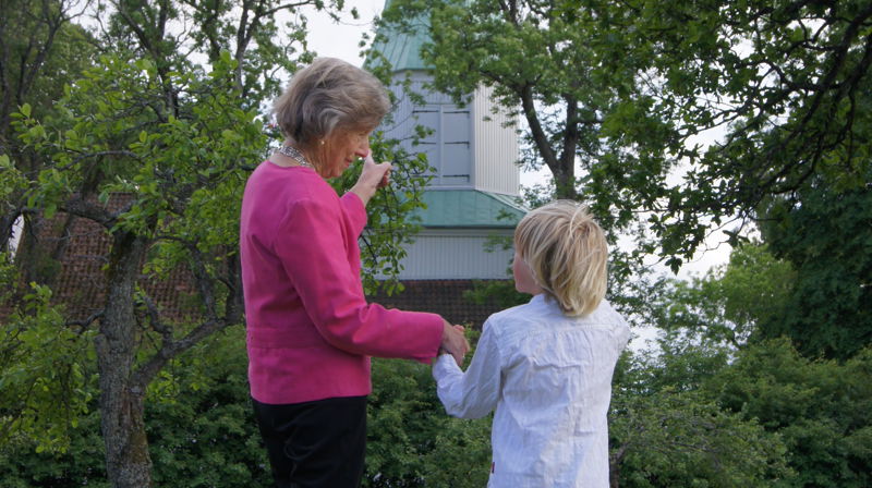 Hva er misjon?