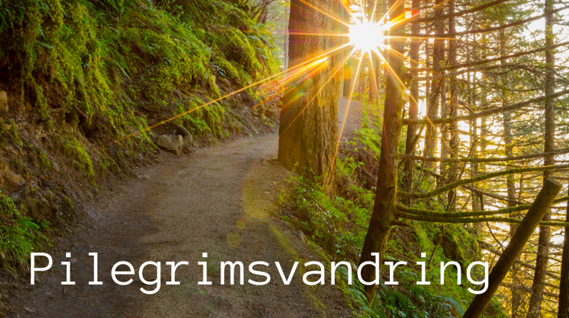 Pilegrimsvandring lørdag 26. august 2023