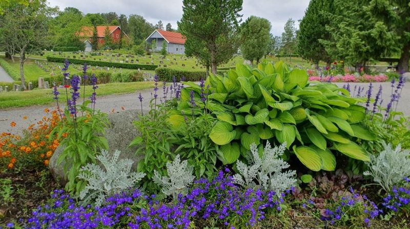 Sommerjobb på gravplassen