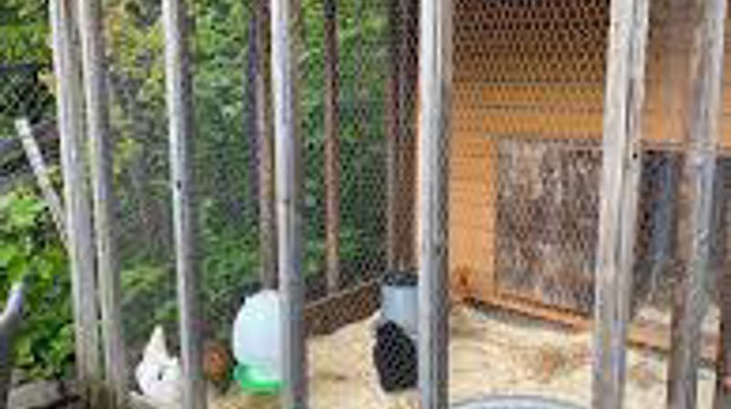 Frivillige snekkere til diakonalt oppdrag