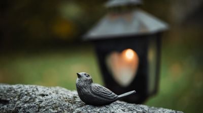 Foto: Helen Moe Slinning