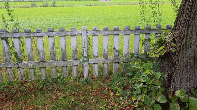 Vedlikehald/måling av gjerde rundt Hauge kyrkjegard