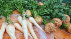 På høstmarkedet kan du blant annet kjøpe grønnsaker.