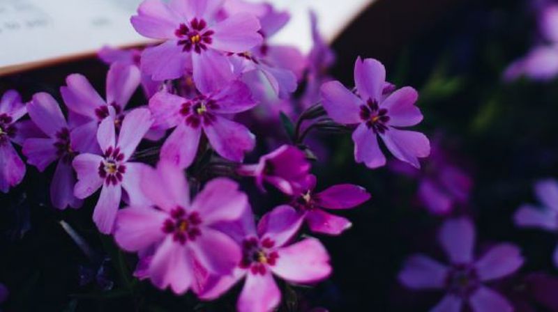 Sommerens gudstjenester