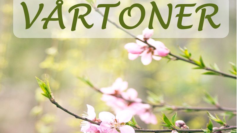 Stemningsfulle og sprelske vårtoner