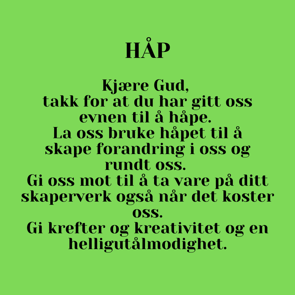 Regnbuebønn grønn uke