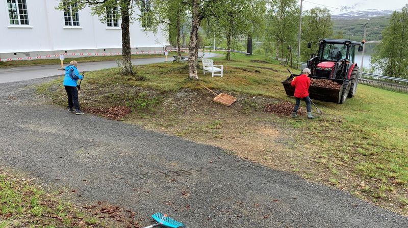 Vårdugnad