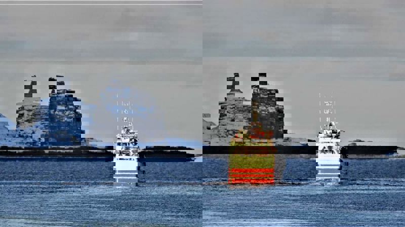 Artikkel 1
