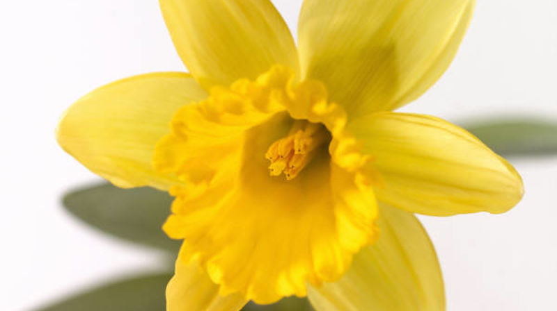 Påsken i Holmlia kirke