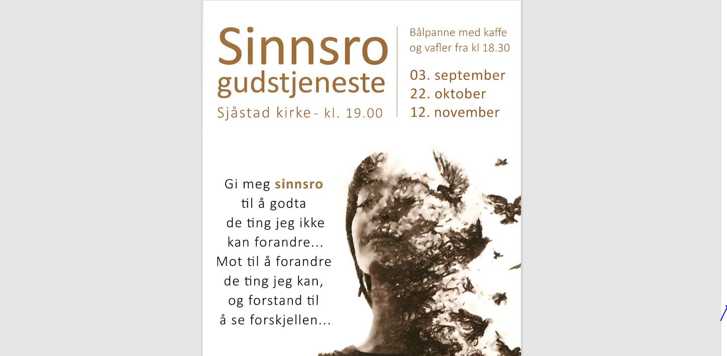 Sinnsrogudstjenester