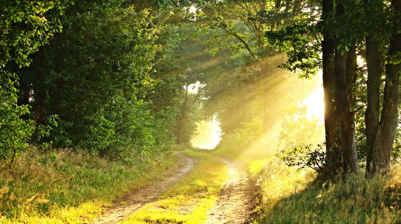 Pilegrimsvandring 19.09.2021