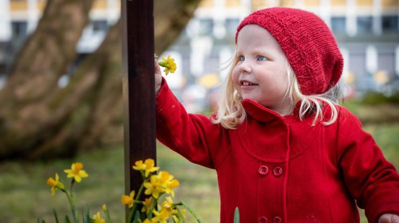 Påskeliljer på kors – foto Terje Peersen