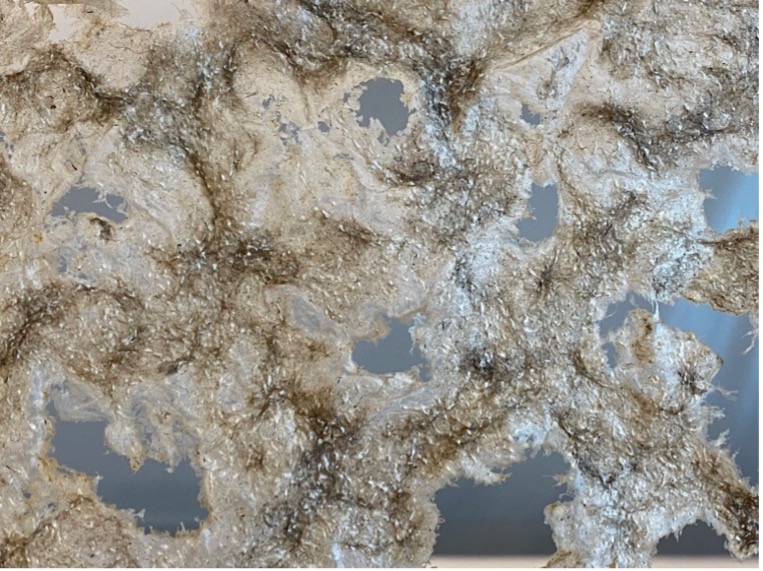 100% Lin, nærbilde. Foto: Hege Bratsberg