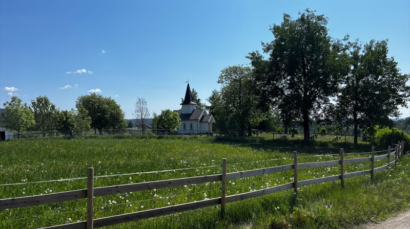 Sommer på Enebakkneset gravlund