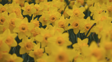 Fotograf: Paul Mody. Unsplash