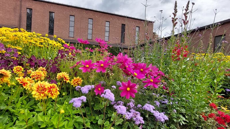Gudstjenester i Lillestrøm kirke i sommer