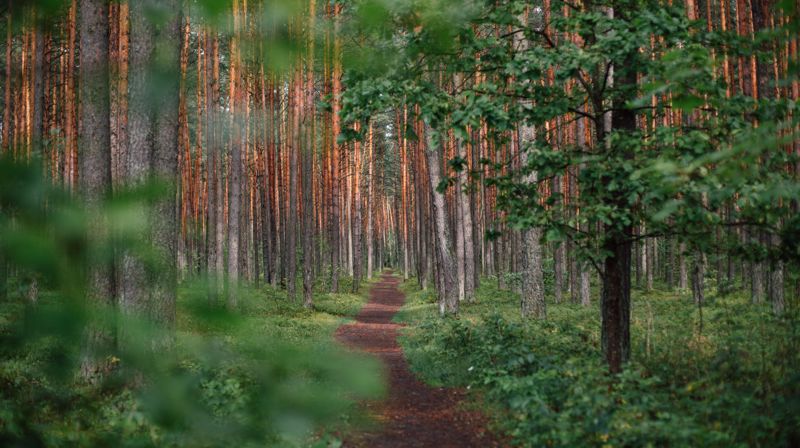 Samtaletilbud i Lillestrøm