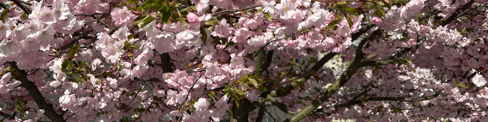 Toppbilde for Lillestrøm menighet