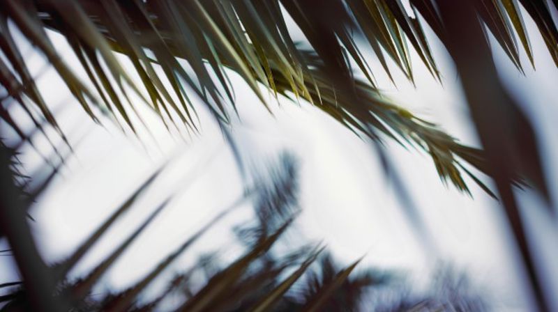 Photo by Tim Mossholder on Unsplash