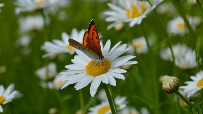 Photo: Eugene | Unsplash