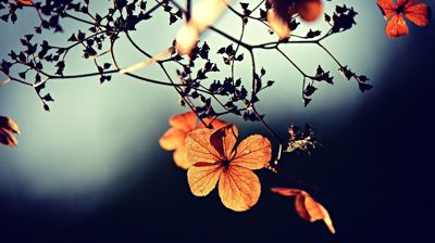 Min salme - Lokale artister synger sin favorittsalme