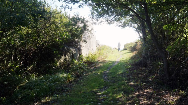 Nettkirken