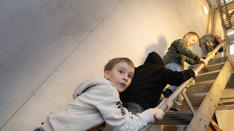 Tårnagent. Foto: Sven-Erling Brusletto.