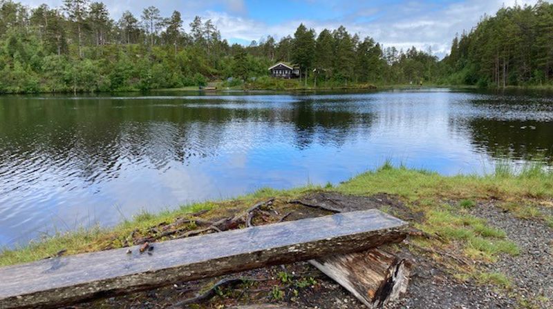 Friluftsgudstjeneste Nyvatnet, 12. juni kl. 12:30