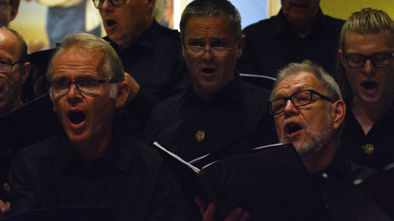 Sterke og varme striletonar