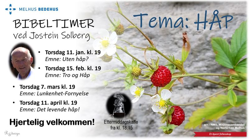 Bibeltimer med temaet HÅP