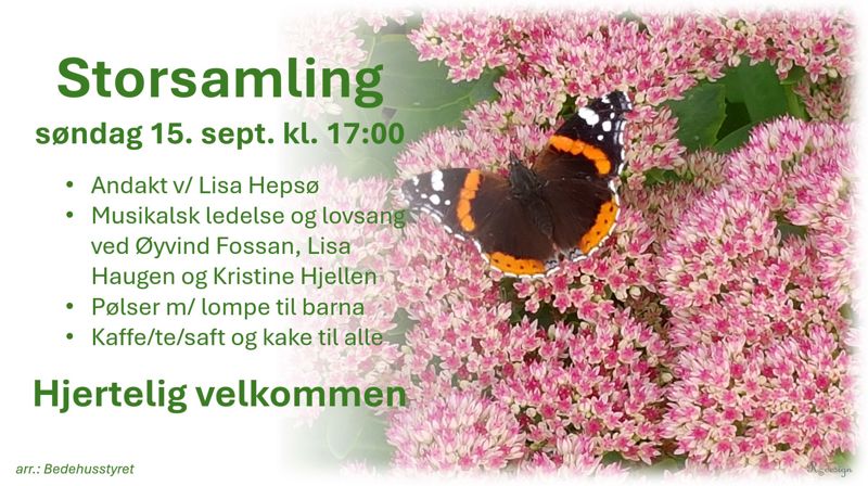 Velkommen til Storsamling