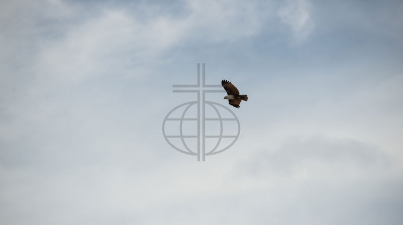 Norsk Luthersk Misjonssamband