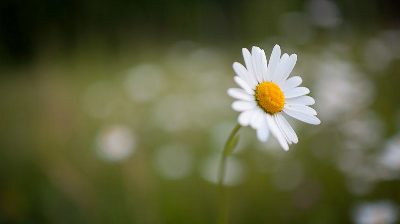 Velkommen til fellesgudstjenester i sommer!