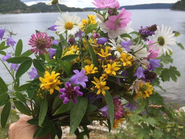 Sommergudstjenester i Moss og Jeløy