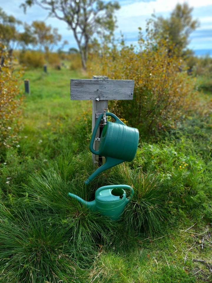 Foto: Kirkevergen i Nesseby