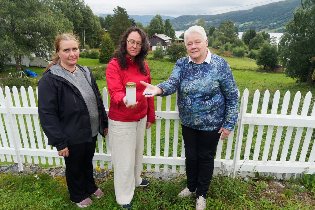 Gravlys kan ta liv – havner i fôret til dyr