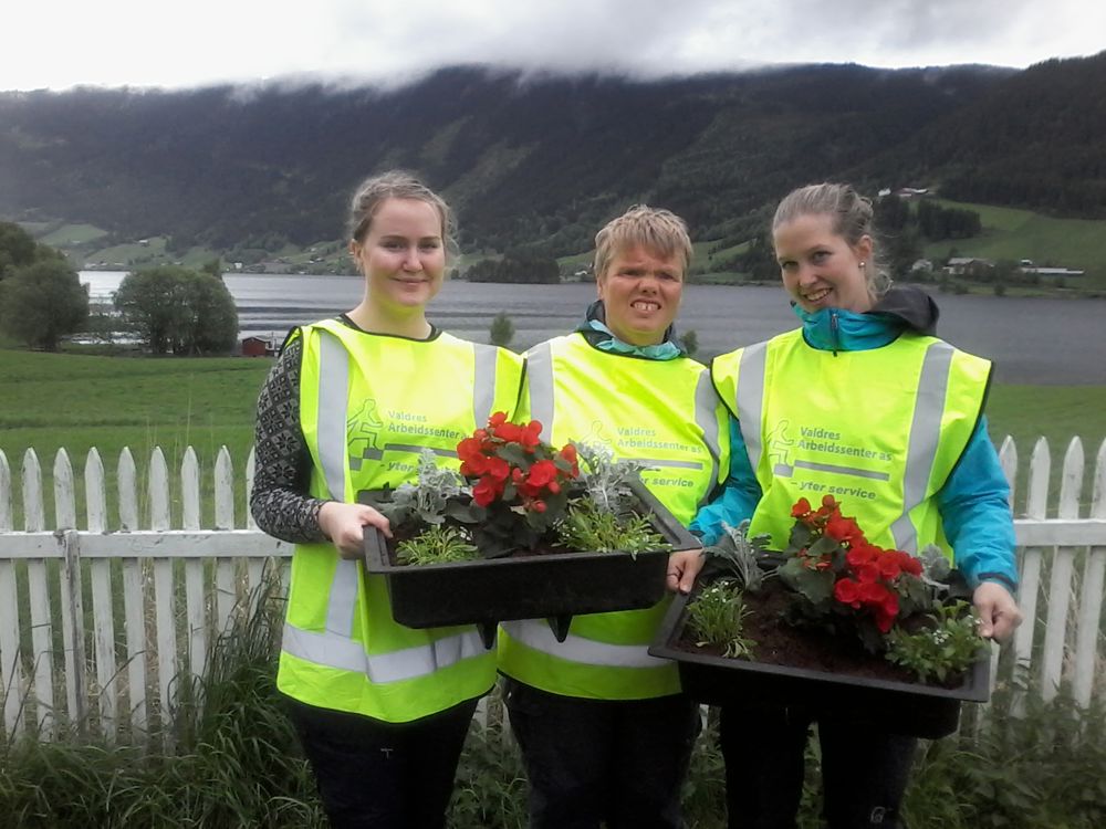 Lund arbeidsbase planter sommerblomster på Ulnes