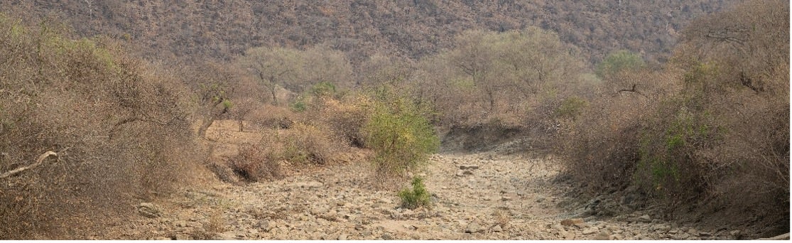 Her ei uttørka elv i Gwembe i Zambia