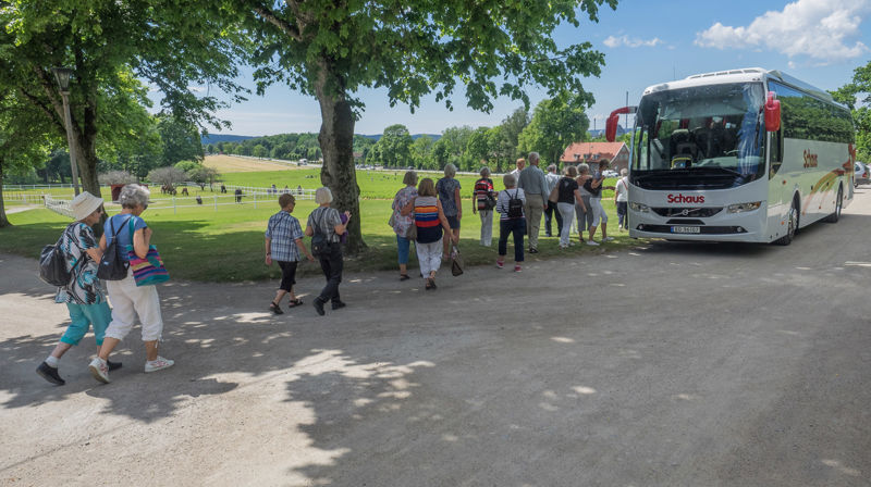 Dagstur med buss i juni