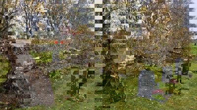 Vindfall på Agdenes kirkegård