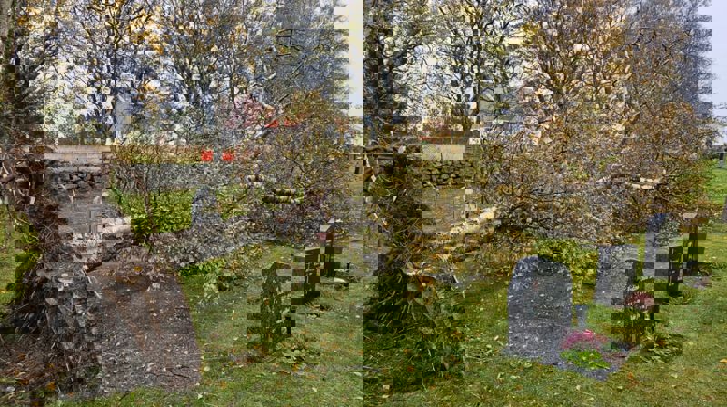 Vindfall på Agdenes kirkegård