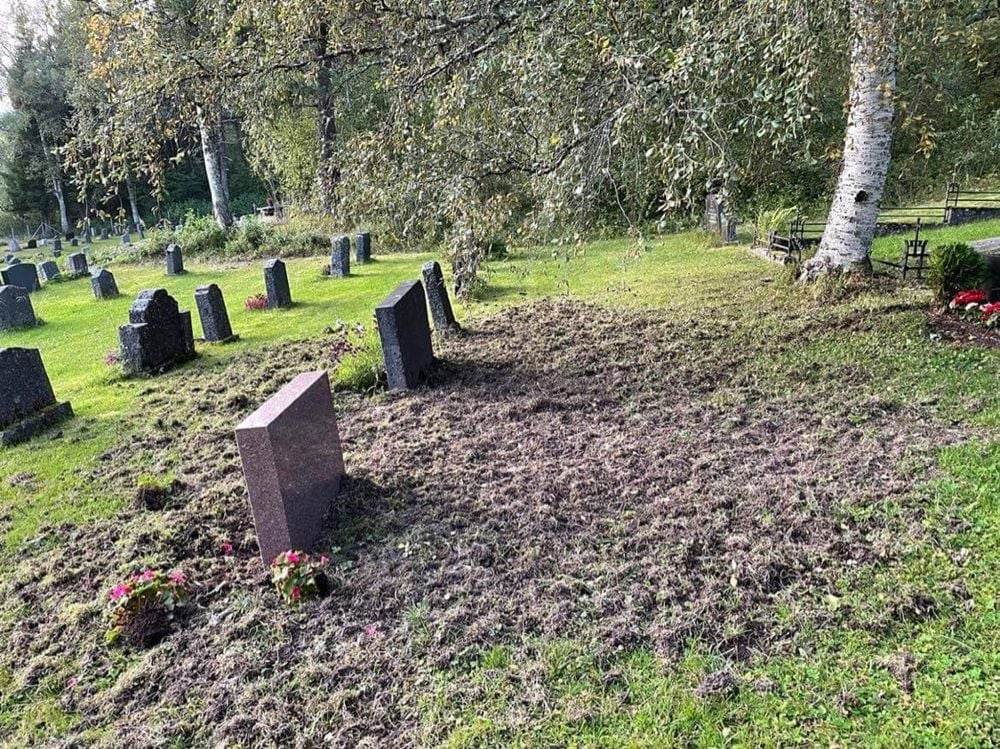 Bildet er tatt etter grevlingens herjinger i 2022.